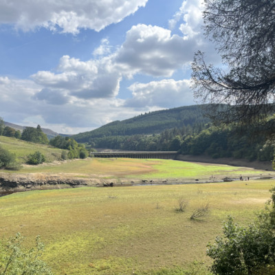 Niamh Hill Hair - Wedding Review Image